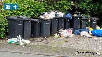 Meschede: Stadt lässt Müllsünder rigoros Lehrgeld zahlen - WP News