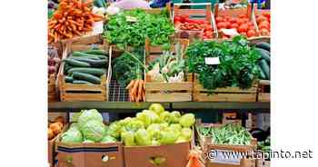 Woodbridge Farmer's Market Opens Saturday | Woodbridge/Carteret, NJ News TAPinto - TAPinto.net