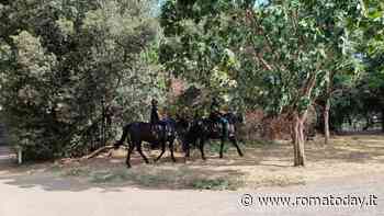 Eventi estivi e carabinieri a cavallo: così migliora la sicurezza nel parco degli Acquedotti