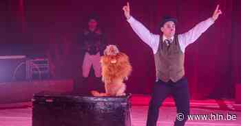 Circus Pipo slaat tenten op in Oosterwijk | Westerlo | hln.be - Het Laatste Nieuws