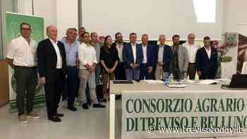 Consorzio Agrario di Treviso e Belluno: eletto il nuovo CdA - TrevisoToday
