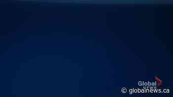 Angus Reid study showing highest inflation rate in 40 years - Global News