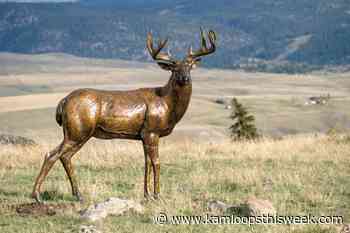 Passing the buck at Art in the Park - Kamloops This Week