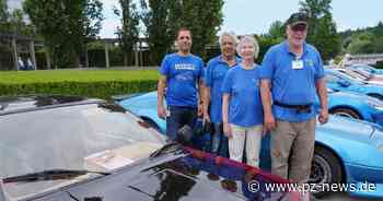 Fans von Renault und Alpine treffen sich im Enzauenpark Pforzheim - Pforzheim - Pforzheimer Zeitung