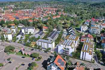 Wohnhäuser am südlichen Stadteingang von Kenzingen - Kenzingen - Badische Zeitung