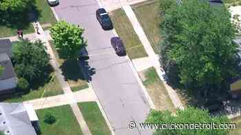 46-year-old man shot, killed in Ypsilanti Township, police say - WDIV ClickOnDetroit