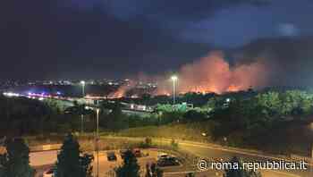 Cento incendi in mezza giornata a Roma: le fiamme assediano la città fino a tarda notte - la Repubblica - Repubblica Roma