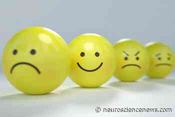 Theta Waves: A Marker of Emotional Regulation - Neuroscience News