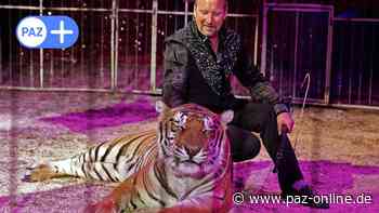 Zirkus in Peine: Tierschutzorganisation PETA kritisiert Tigerdressur - Peiner Allgemeine Zeitung - PAZ-online.de