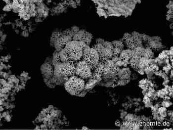 Neue Technik für den Klimaschutz: Aus CO₂ wird Methanol