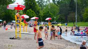 Key COVID-19 numbers in the Ottawa area for June 28 - CBC.ca