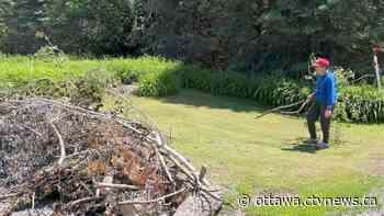 Ottawa storm: 'Thousands' of tonnes of debris collected - CTV News Ottawa
