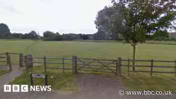 Letchworth dog attack: Girl, 13, needs reconstructive surgery