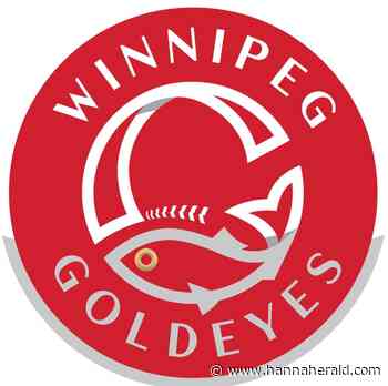 Winnipeg Goldeyes keep rolling with win over Fargo-Moorhead RedHawks - Hanna Herald