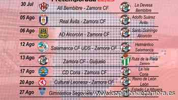 El Zamora CF solo jugará un amistoso de pretemporada en el Ruta de la Plata - La Opinión de Zamora