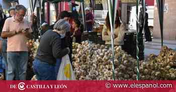 Feria del Ajo en Zamora 2022 - EL ESPAÑOL