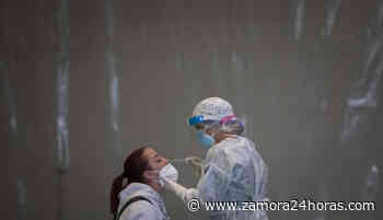 Esta es la situación de los brotes este martes en Zamora - Zamora 24 Horas