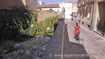 Zamora da un mes de plazo a los propietarios de solares para desbrozarlos - La Opinión de Zamora