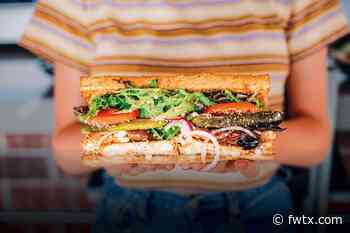 Stoner-Themed Sandwich Shop Cheba Hut Opens in Fort Worth - Fort Worth Magazine