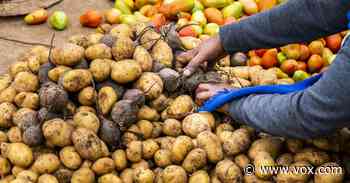 Giving people cash is usually better than shipping them food - Vox.com