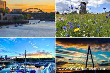Nine beautiful pictures taken by Sunderland Echo readers to celebrate World Camera Day - Sunderland Echo