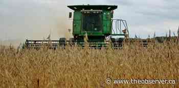 Lambton Agricultural Hall of Fame names 2022 inductees - The Sarnia Observer