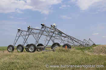 Decision time long gone for hail-out crop - Aurora News Register