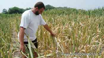 Cambiamento climatico a Bologna: "Piogge estreme e nel 2030 un grado in più" - il Resto del Carlino