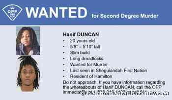 Sudbury news: Hamilton man wanted after fatal Manitoulin shooting | CTV News - CTV News Northern Ontario