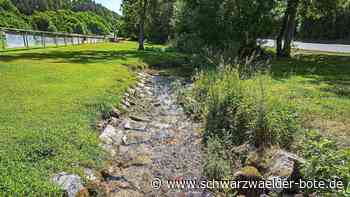 Wasserentnahme untersagt: Bäche und Quellen in Wildberg leiden unter der Trockenheit