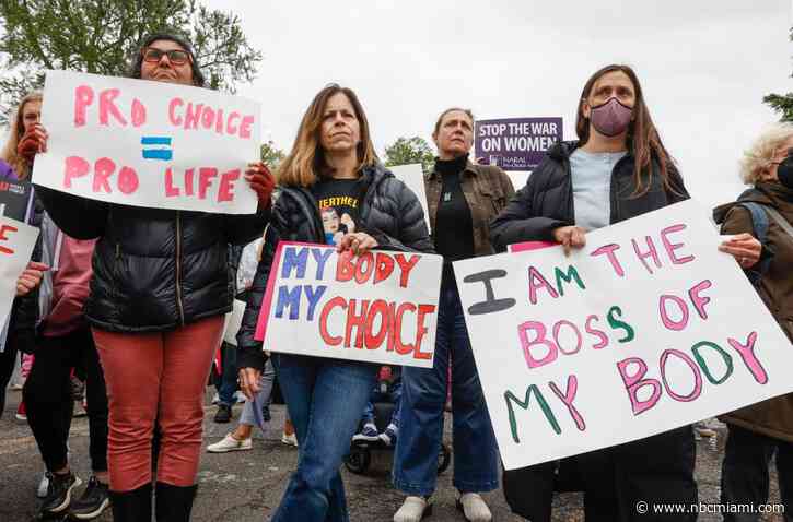 Providers Argue Florida's Privacy Measure Protects Abortion