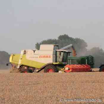 Offener Brief der Landwirte im Kreis Soest - Hellweg Radio