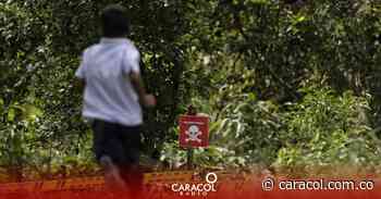 En 5 años se liberaron 285 municipios de minas antipersona - Caracol Radio