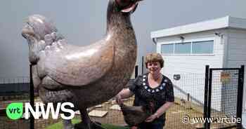 Reuzegroot standbeeld van kip in tuin van Karina uit Merchtem: “Ode aan mijn kippen” - VRT NWS