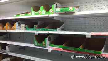 No eggs shortage, producers say, as consumers share photos of empty supermarket shelves on social media