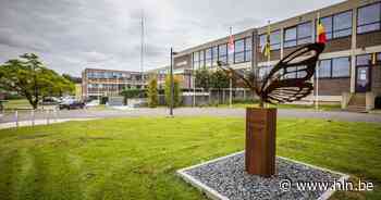 Gemeente Heers houdt late nieuwjaarsapero - Het Laatste Nieuws