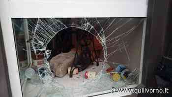 Spaccano la vetrata all'alba e rubano il fondo cassa - QuiLivorno.it