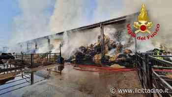 Fiamme in cascina all'alba, scatta l'allarme tra Somaglia e Guardamiglio VIDEO - Il Cittadino