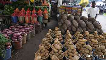 Revemi tackles food crisis, trains farmers in Delta - Guardian Nigeria