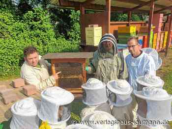 Steinen - Ausflug zu Bienen - www.verlagshaus-jaumann.de