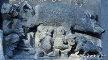 Wittenberg: „Judensau“ darf bleiben – BGH entscheidet für Kirchengemeinde - BILD