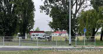 Teachers chase dogs out of Hull primary school playground after travellers set up next door - Hull Live