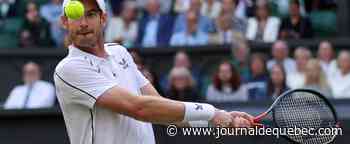 Andy Murray en action à la Coupe Laver