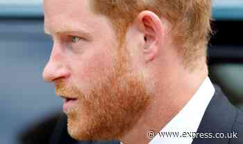 Prince Harry 'less forgiving' than William of Charles after Princess Diana's death - Express