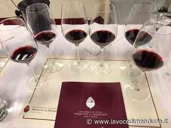 Il Primitivo di Manduria al 15° Forum Internazionale della Cultura del Vino - La Voce di Manduria