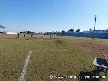 Para secretário de Esportes, excesso de atividades prejudicaram gramado do Luisão - São Carlos Agora