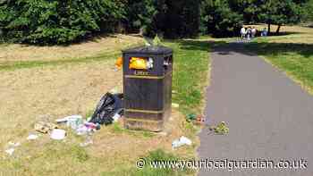 Westow Park Croydon bins overflow with dog waste and rubbish