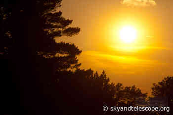 Meet The Sun, Our Home Star