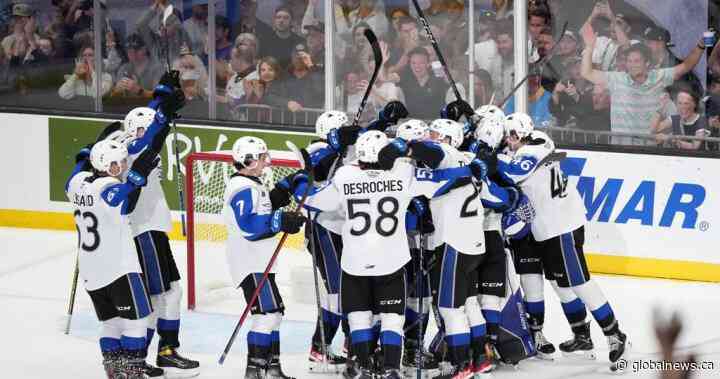 It’s a Dogfight! Saint John, Hamilton meet in Memorial Cup final - Global News