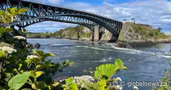 Federal riding redraw could split Saint John in two - Global News